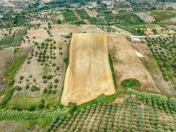 Terreno para Venda em Moçarria