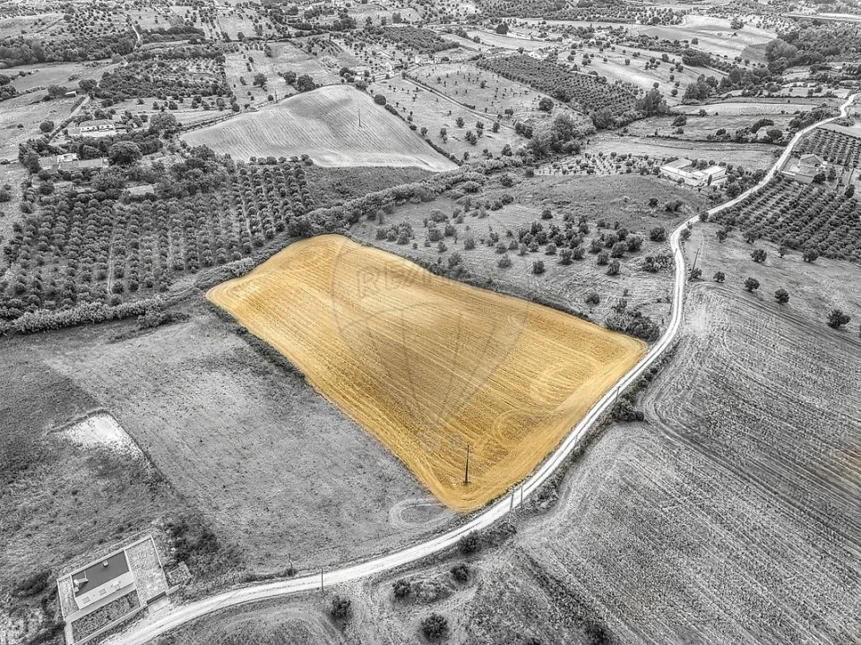 Terreno para Venda em Moçarria Foto 3