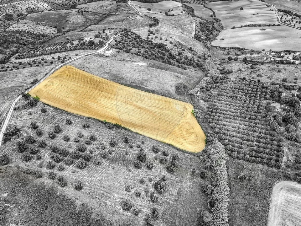 Terreno para Venda em Moçarria Foto 21