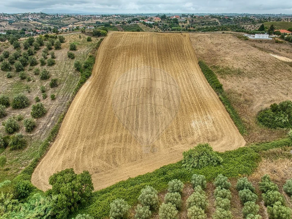 Terreno para Venda em Moçarria Foto 17