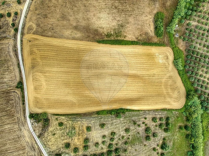 Terreno para Venda em Moçarria Foto 12