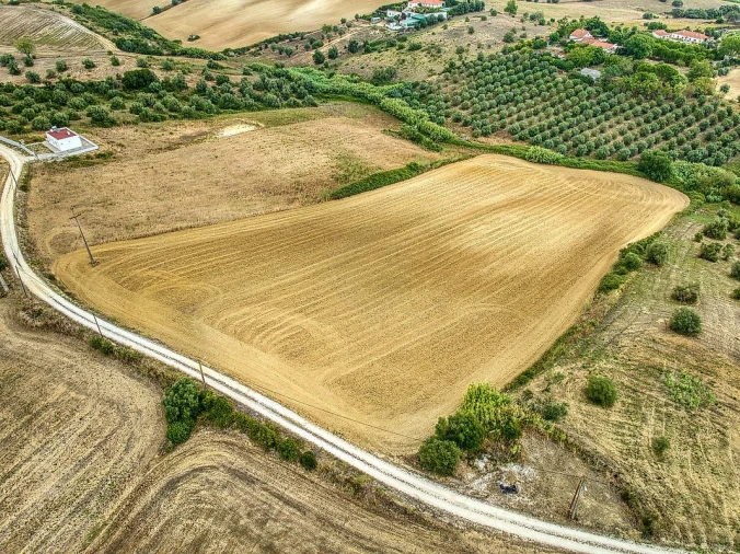 Terreno para Venda em Moçarria Foto 13
