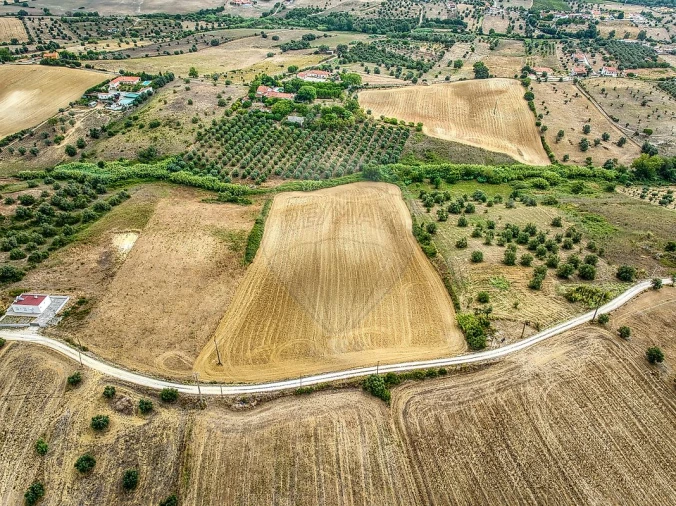 Terreno para Venda em Moçarria Foto 2