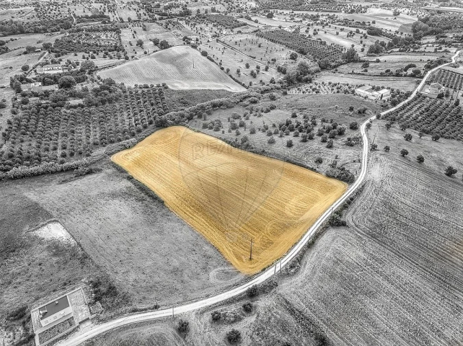 Terreno para Venda em Moçarria Foto 3