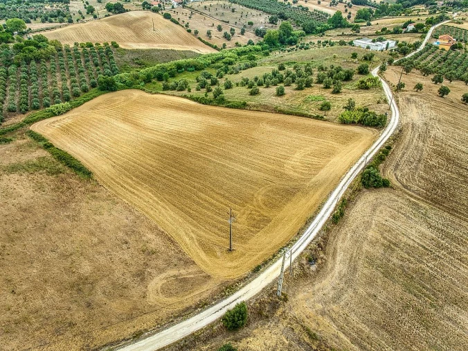 Terreno para Venda em Moçarria Foto 15