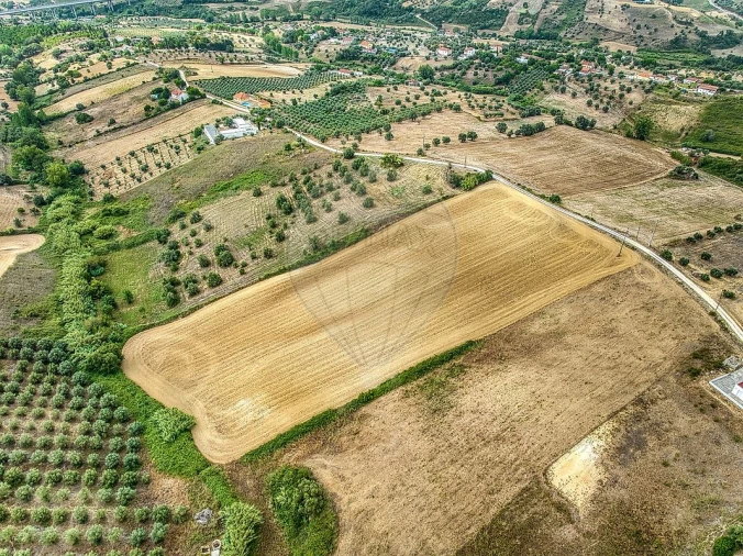 Terreno para Venda em Moçarria Foto 6