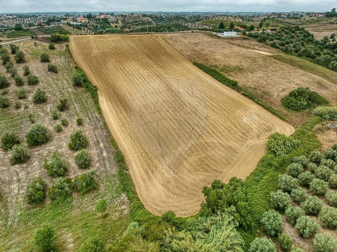 Terreno para Venda em Moçarria Foto 18