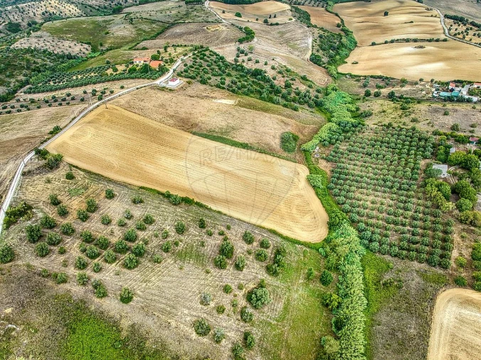 Terreno para Venda em Moçarria Foto 10