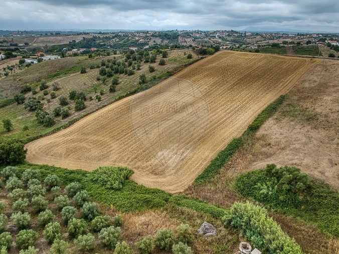 Terreno para Venda em Moçarria Foto 16