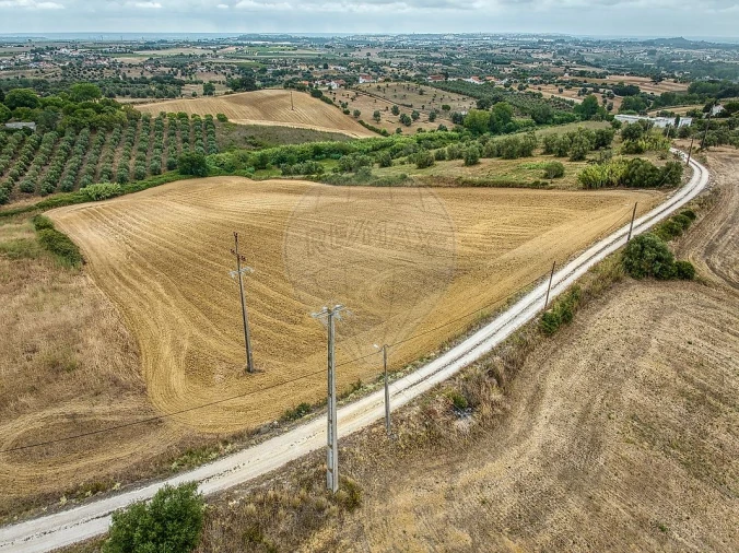 Terreno para Venda em Moçarria Foto 19