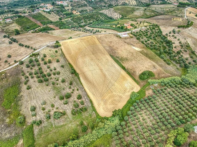 Terreno para Venda em Moçarria Foto 9