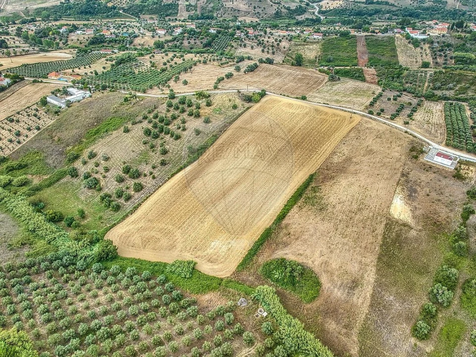 Terreno para Venda em Moçarria Foto 7