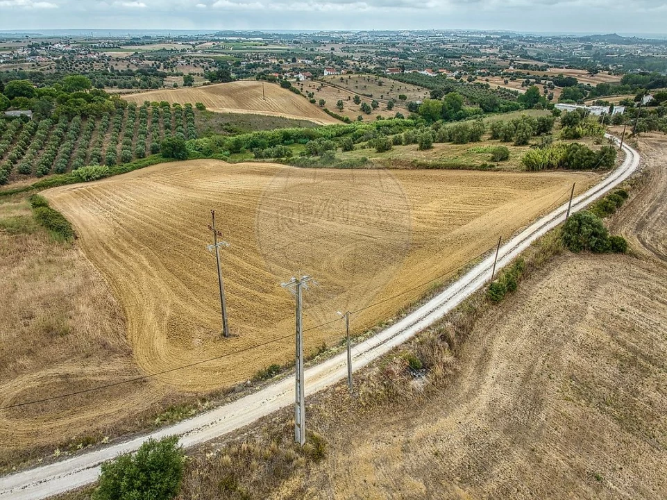 Terreno para Venda em Moçarria Foto 19