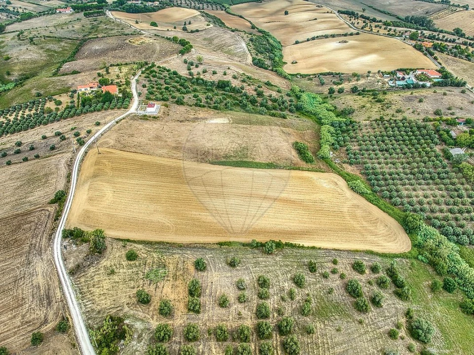 Terreno para Venda em Moçarria Foto 11