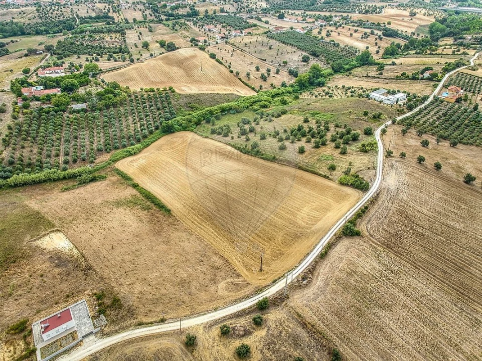 Terreno para Venda em Moçarria Foto 4
