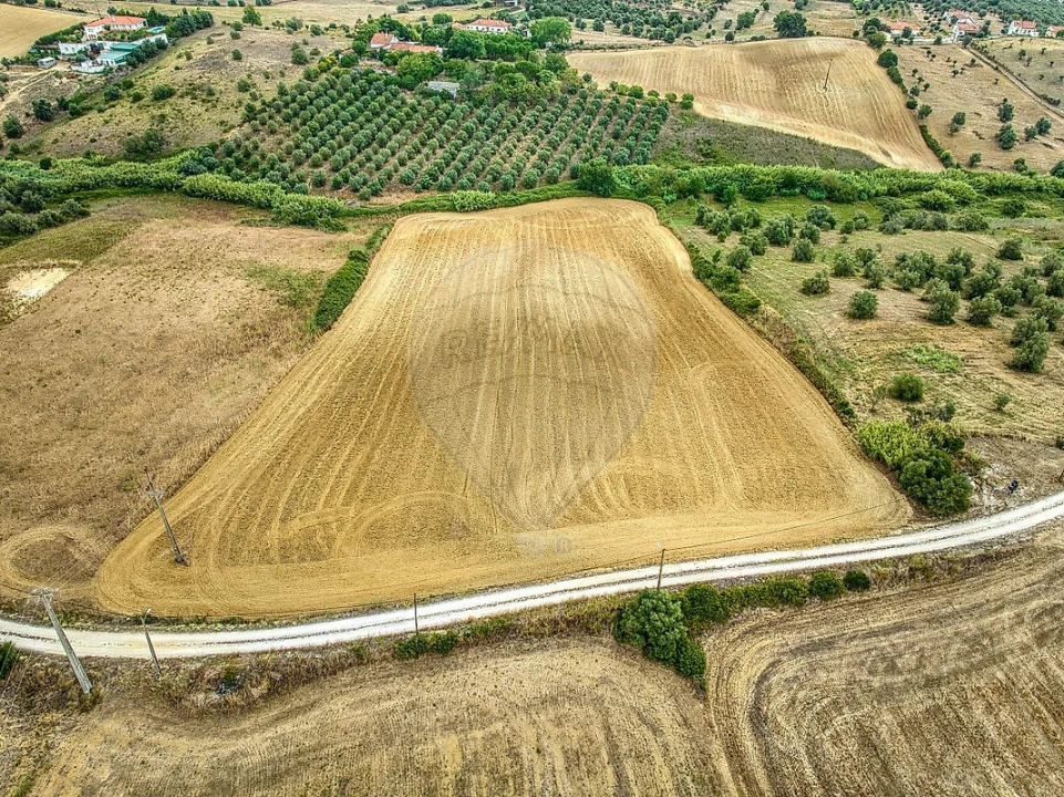 Terreno para Venda em Moçarria Foto 14