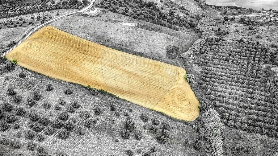 Terreno para Venda em Moçarria