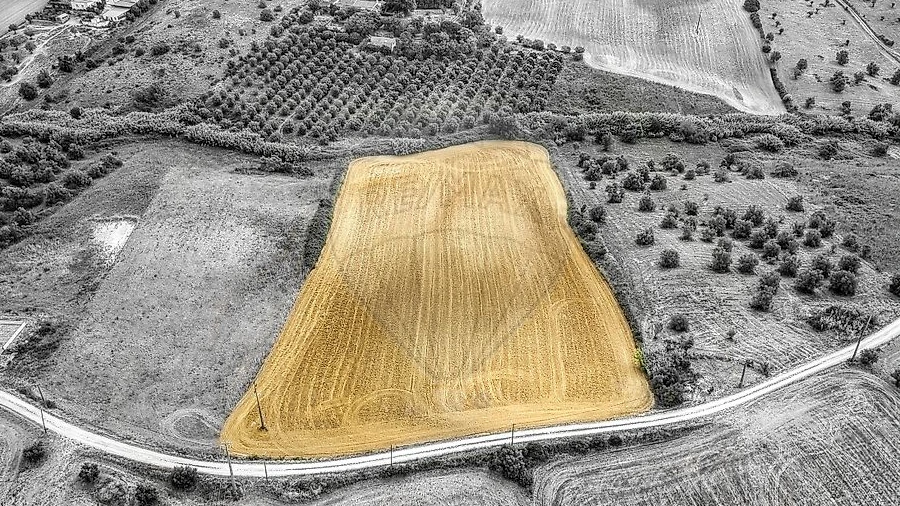 Terreno para Venda em Moçarria