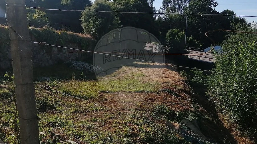 Terreno para Venda em Carregosa