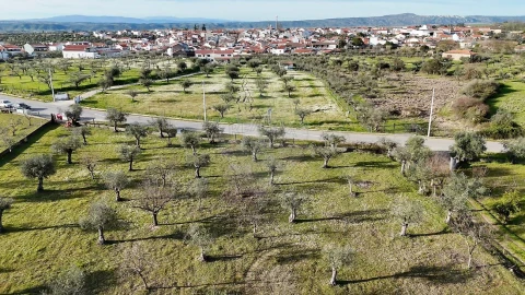 Terreno para Venda em Ladoeiro