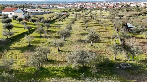 Terreno para Venda em Ladoeiro