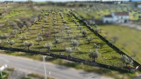 Terreno para Venda em Ladoeiro