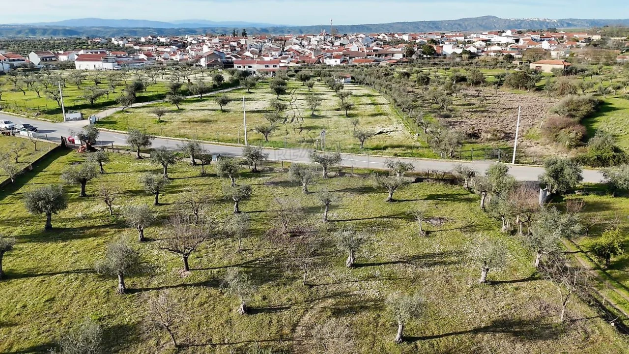 Terreno para Venda em Ladoeiro Foto 3