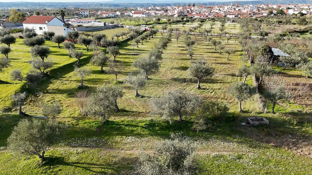 Terreno para Venda em Ladoeiro Foto 4