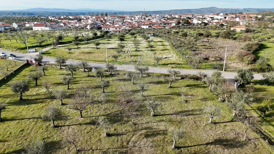 Terreno para Venda em Ladoeiro Foto 3