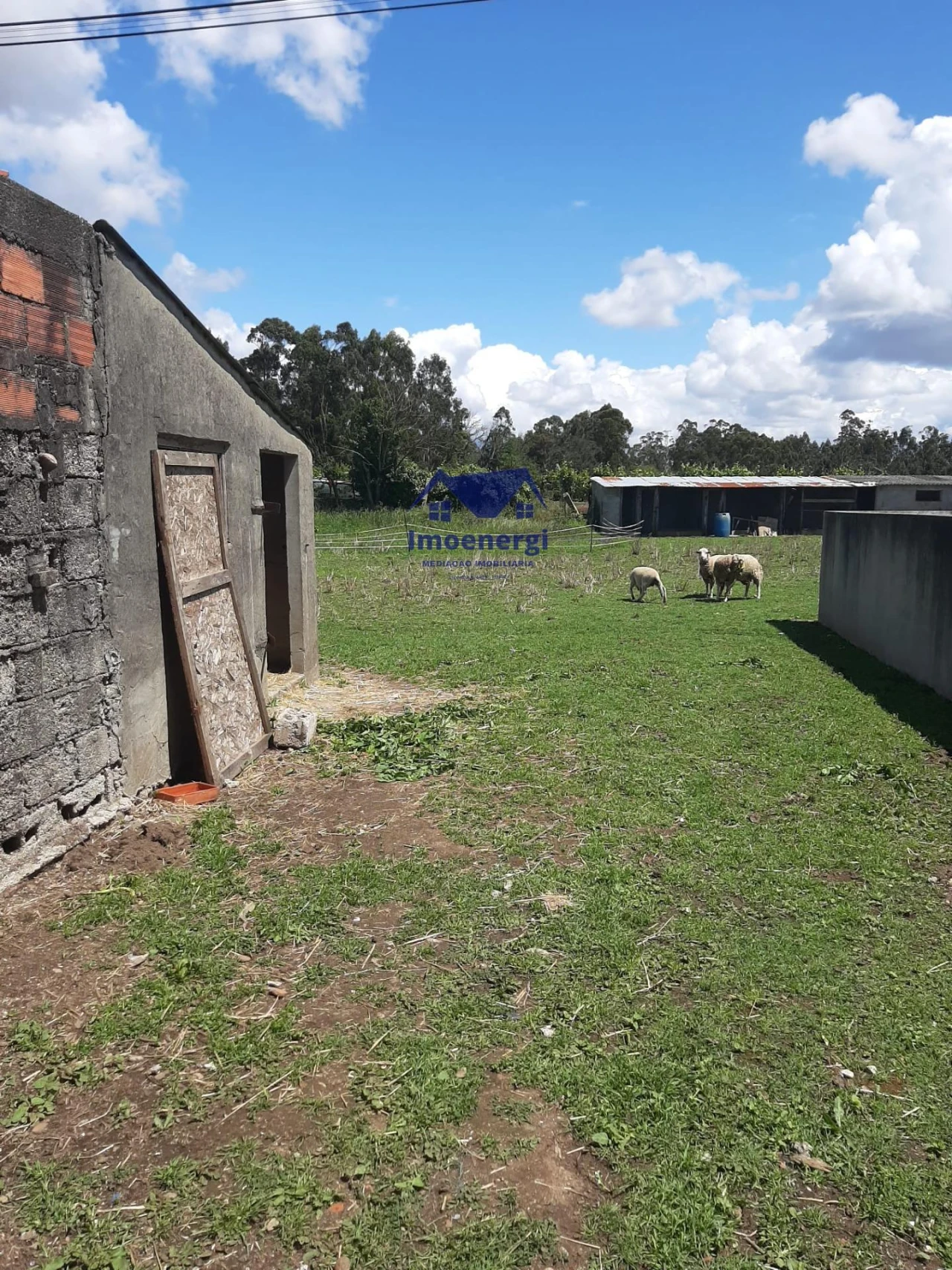 Terreno para Venda em Rates Foto 7