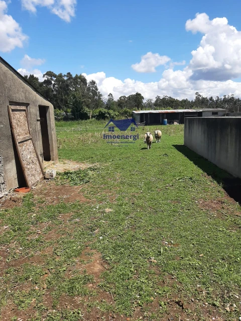 Terreno para Venda em Rates