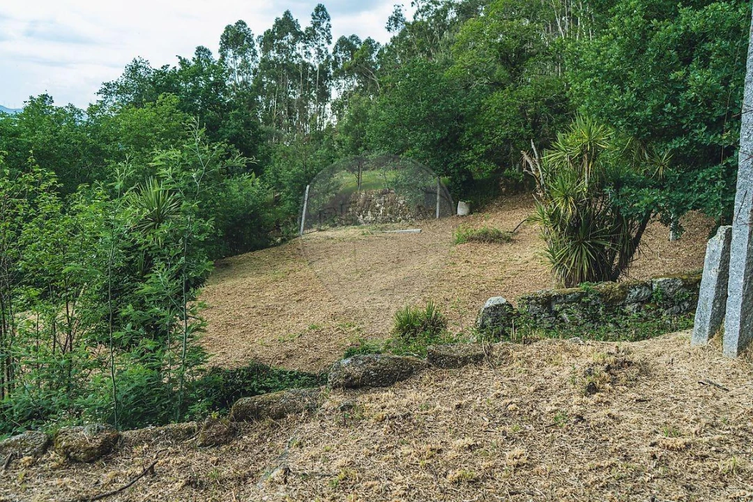 Moradia T1 para Venda em Travassos Foto 24
