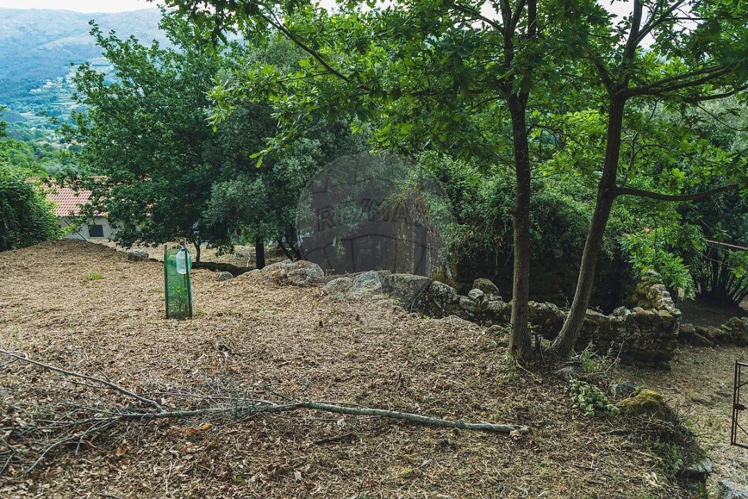 Moradia T1 para Venda em Travassos Foto 27