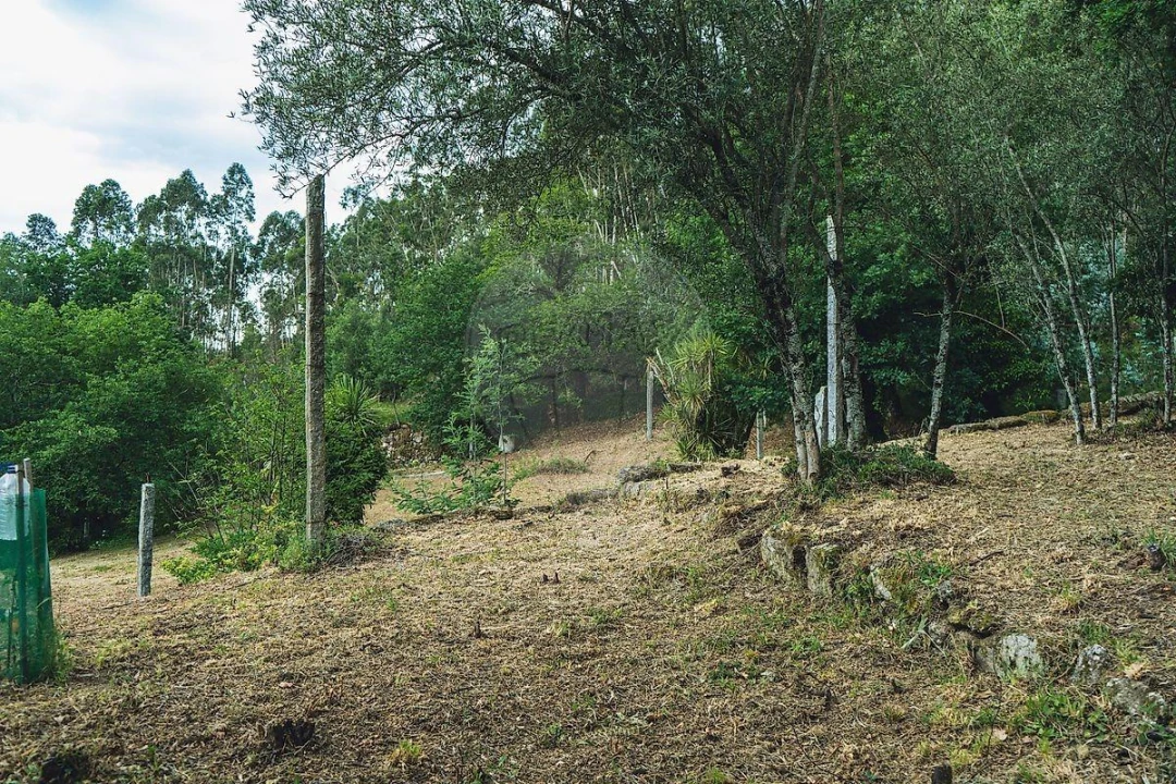 Moradia T1 para Venda em Travassos Foto 28