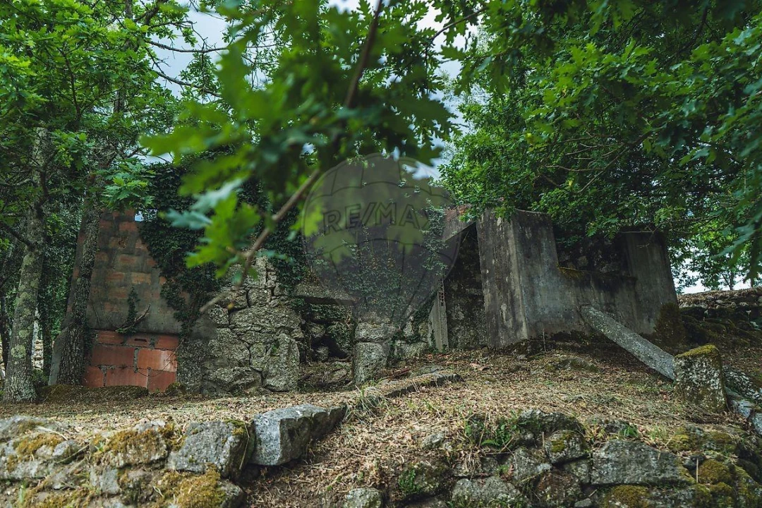 Moradia T1 para Venda em Travassos Foto 36