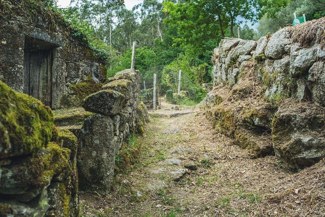 Moradia T1 para Venda em Travassos Foto 39