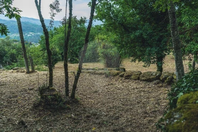 Moradia T1 para Venda em Travassos