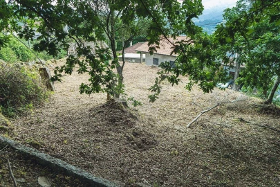 Moradia T1 para Venda em Travassos
