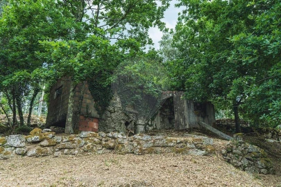 Moradia T1 para Venda em Travassos