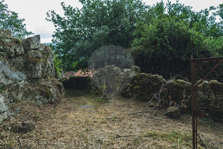 Moradia T1 para Venda em Travassos Foto 23