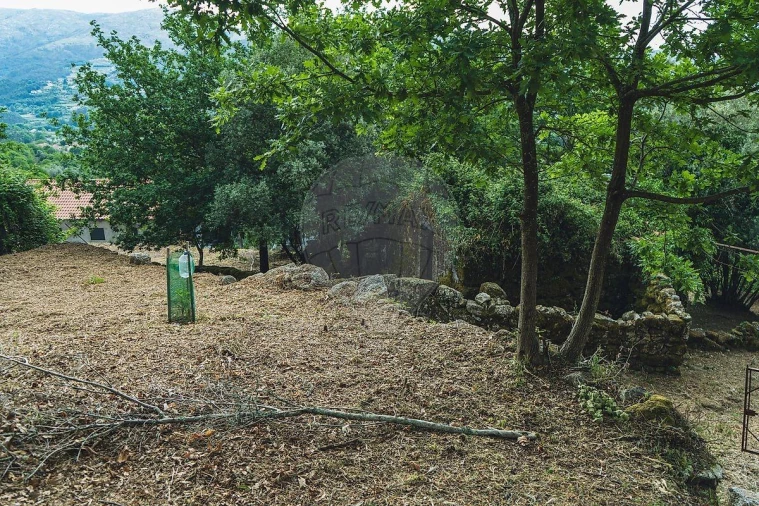 Moradia T1 para Venda em Travassos Foto 27