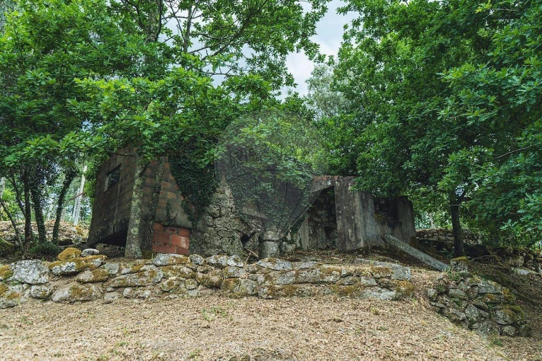 Moradia T1 para Venda em Travassos Foto 35