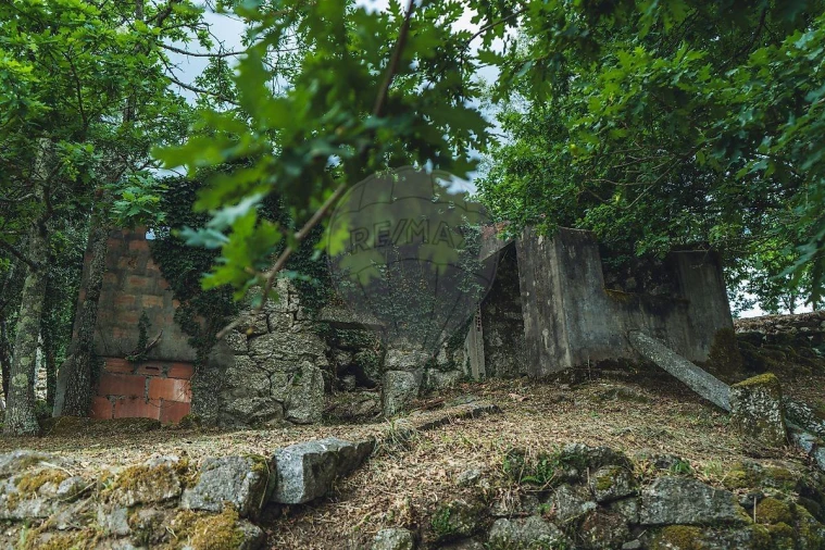 Moradia T1 para Venda em Travassos Foto 36