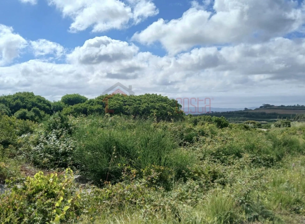 Terreno Agricola ou Rústico para Venda em Reguengo Grande Foto 5