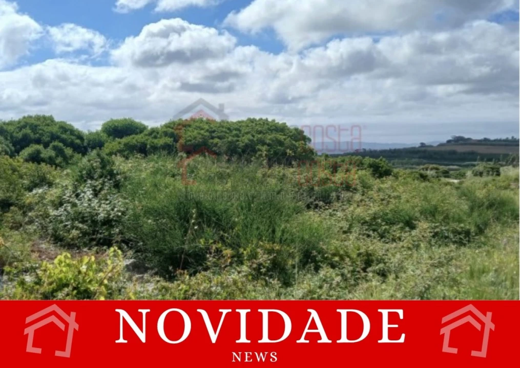 Terreno Agricola ou Rústico para Venda em Reguengo Grande Foto 1