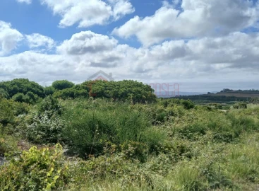 Terreno Agricola ou Rústico para Venda em Reguengo Grande