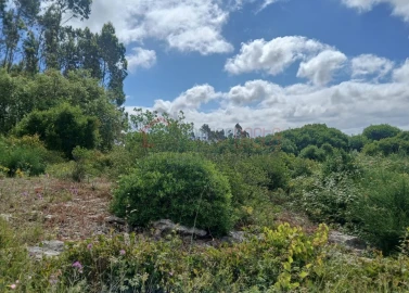 Terreno Agricola ou Rústico para Venda em Reguengo Grande