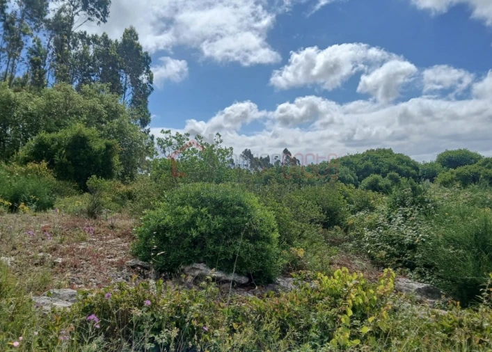 Terreno Agricola ou Rústico para Venda em Reguengo Grande Foto 2