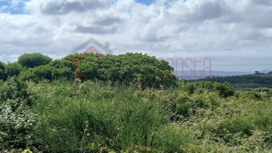 Terreno Agricola ou Rústico para Venda em Reguengo Grande