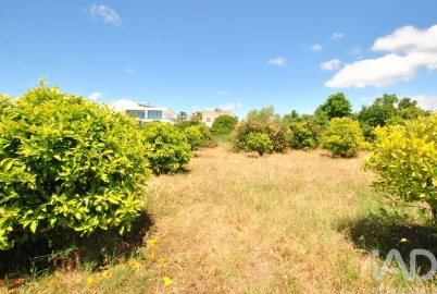 Terreno para Venda em Albufeira e Olhos de Água